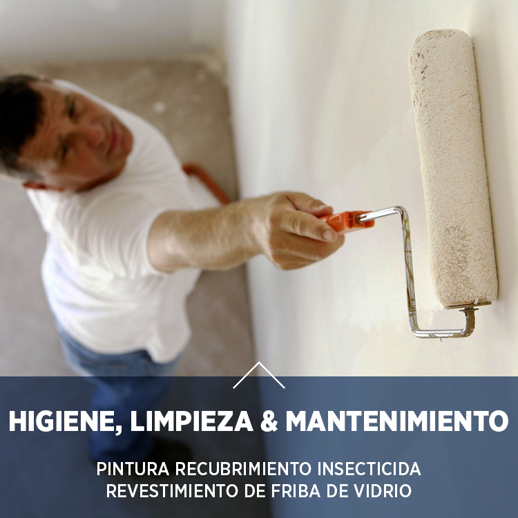 Imagen 5